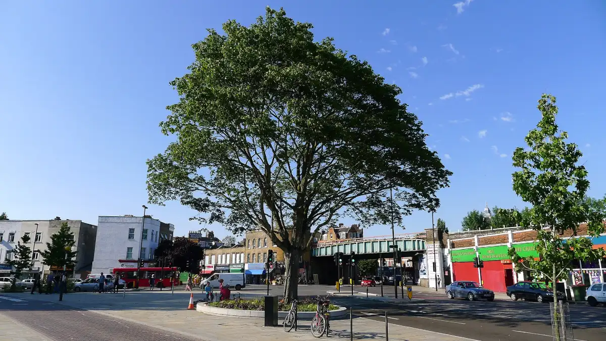 Herne hill